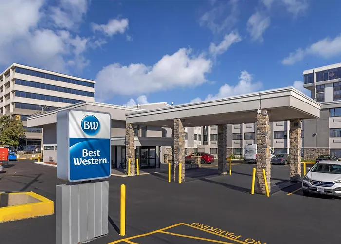 Best Western At O'Hare Rosemont